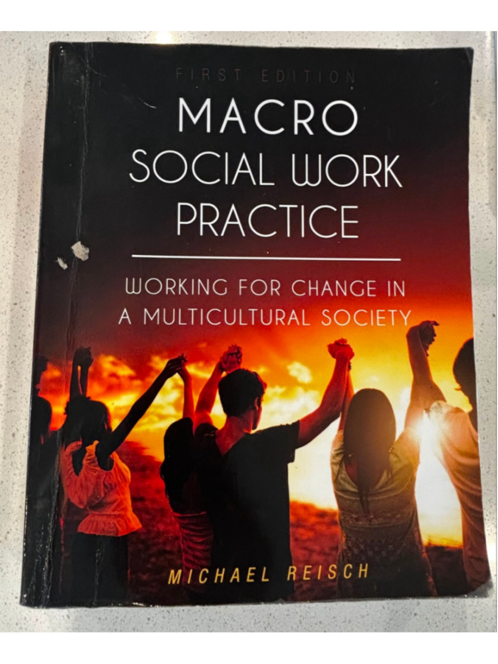 Macro Social Work Practice Michael Reisch 1st Edition Textbook Annotated #C16